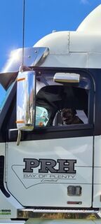 Happy passenger
